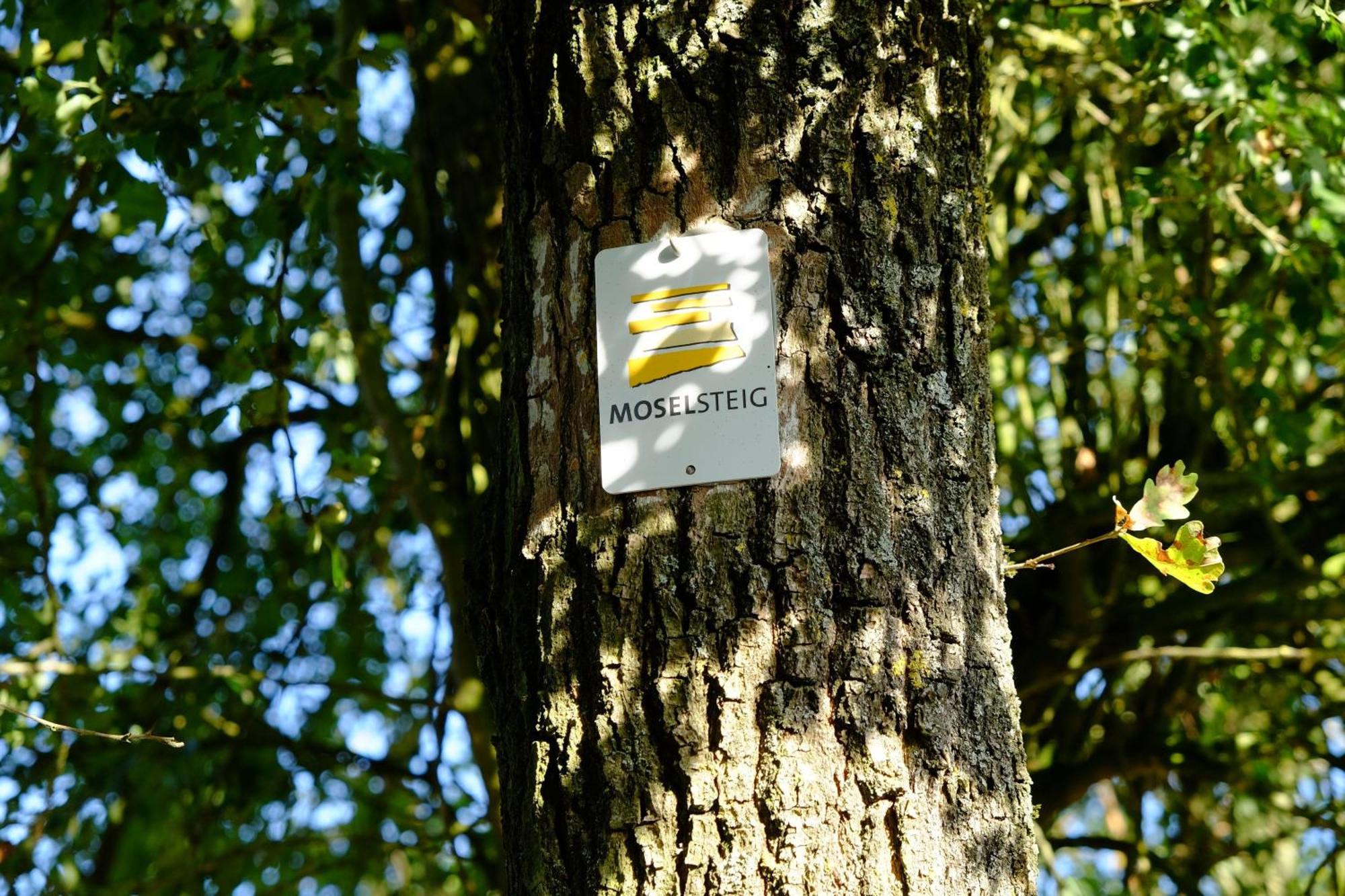 Ferienwohnung-Zum-Kueppchen Münstermaifeld Kültér fotó